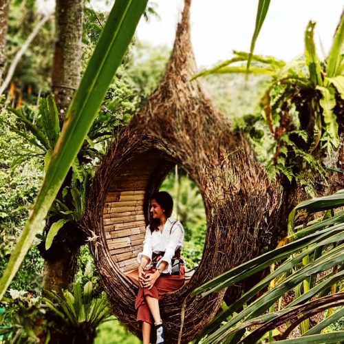 bali swing pioneer