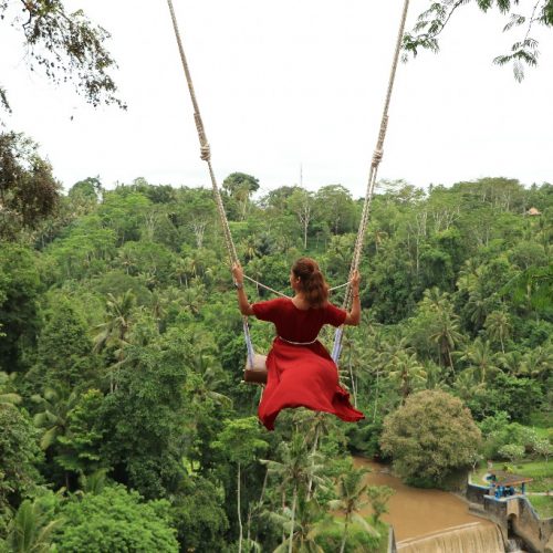 bali swing pioneer