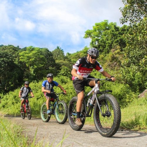 Ebike Bali swing pioneer